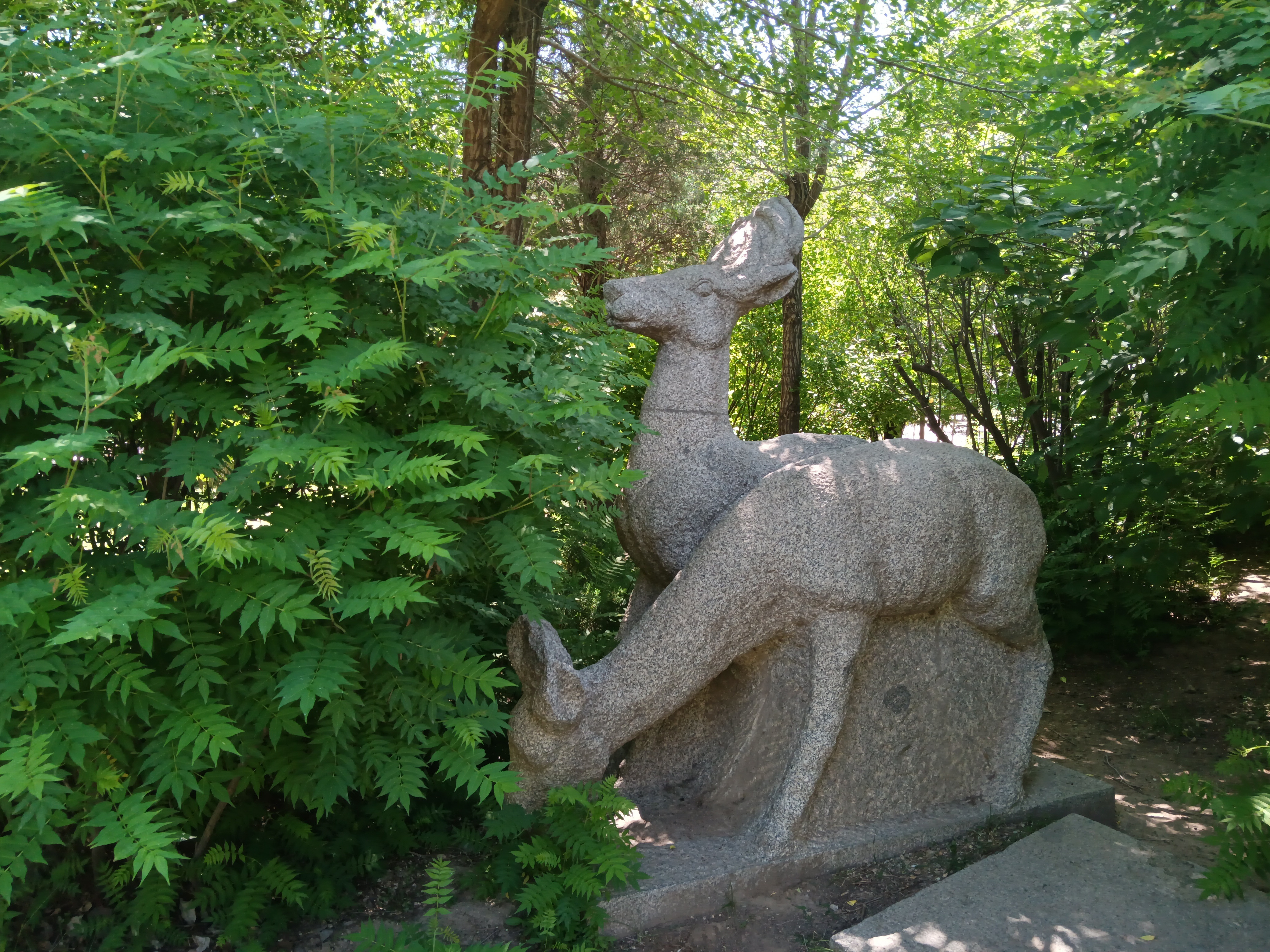 心之素素构图呼和浩特·呼和浩特市植物园