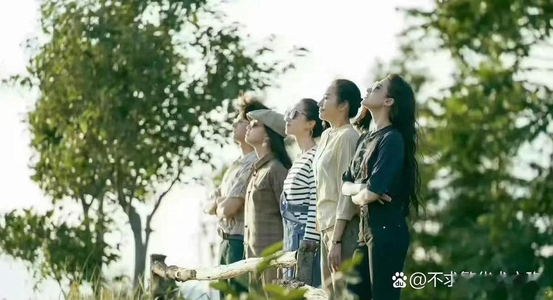 总有人吐槽刘亦菲体态欠佳，可这组画面里她身姿出众，直接碾压一众旁人。