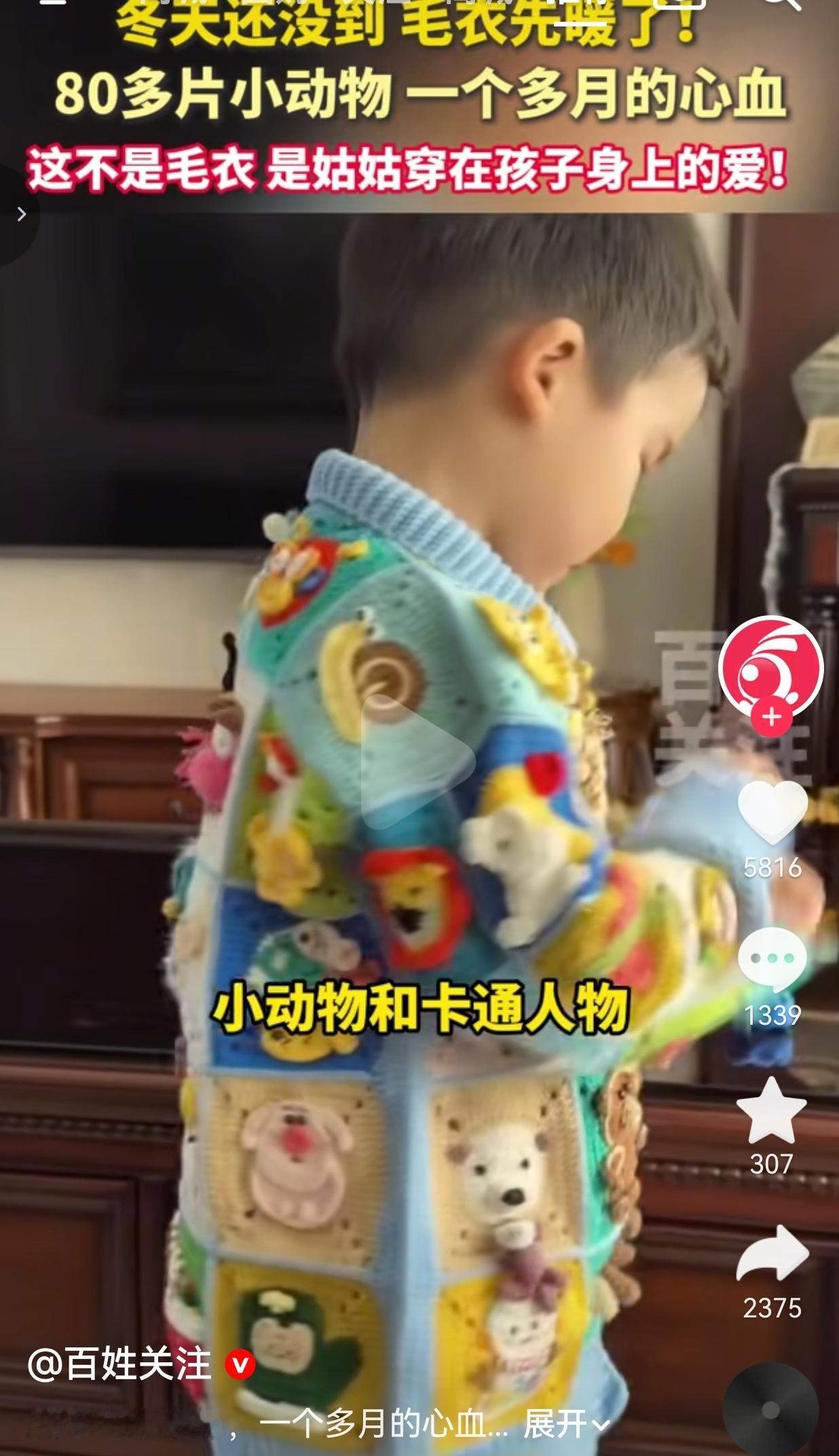 比巴黎世家都好！山东，一位姑姑用时一个月，给侄子织了一件小毛衣，80多片的小动物