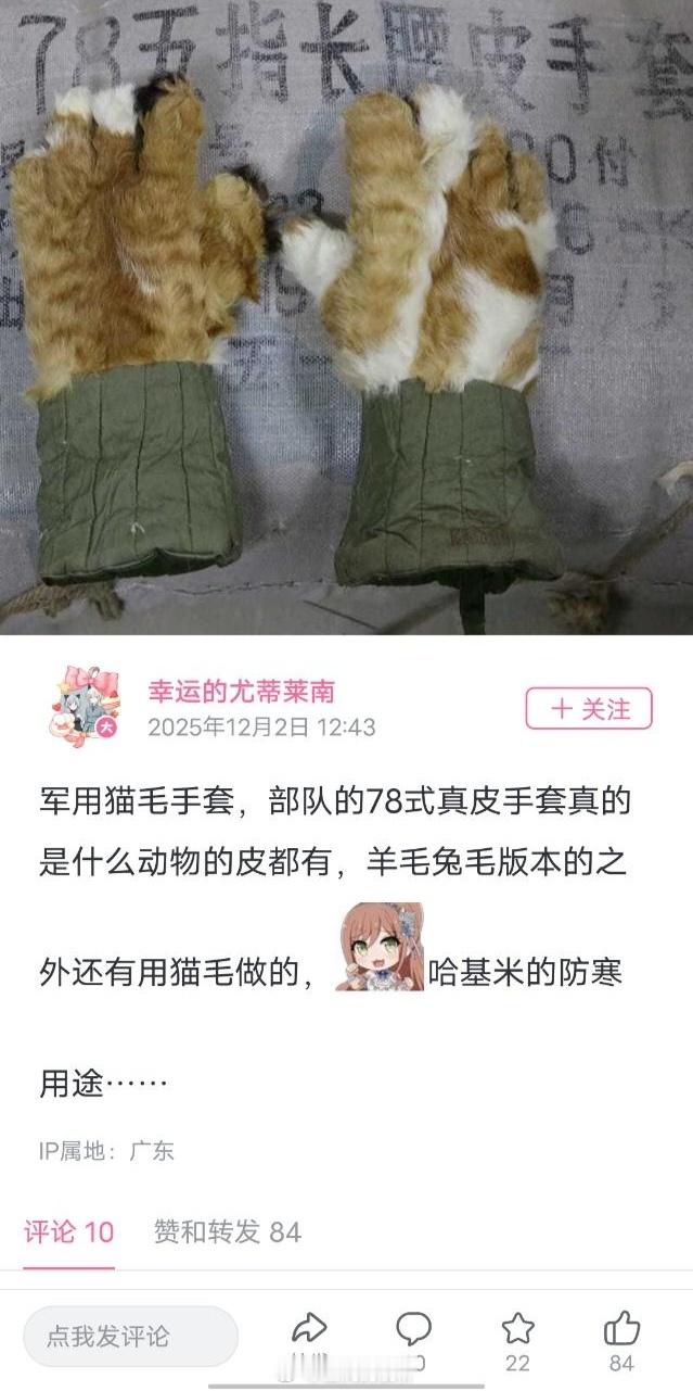 哈基米贡献最大的一集！😭
