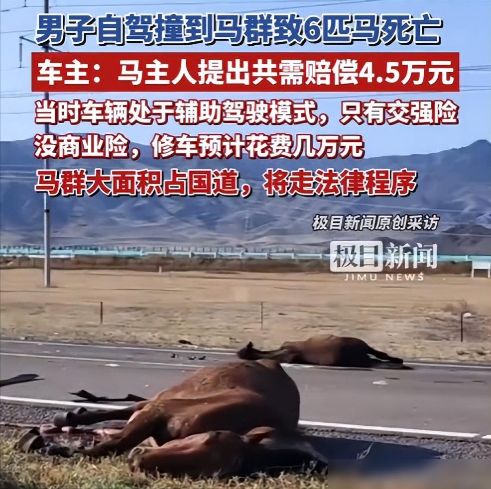 看完这事我真抓心！河南马先生开新能源车带仨人去西北自驾，走218国道伊犁新源县段
