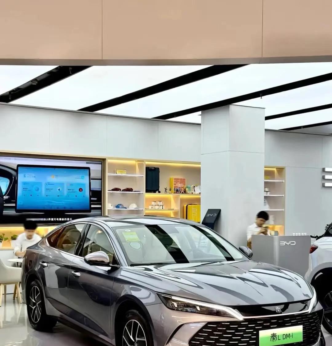 要是选家用车，比亚迪秦L我还真会认真琢磨琢磨。前阵子去4S店了解了一下，空间