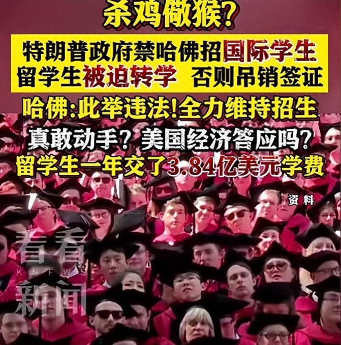 哈佛突然不能收国际生了，1500个中国留学生得卷铺盖走人，可谁都没想到，最打脸的