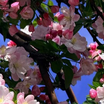 每日一善每日一善阳光信用保持一颗善良的心，就是人生幸福的源泉，就是一