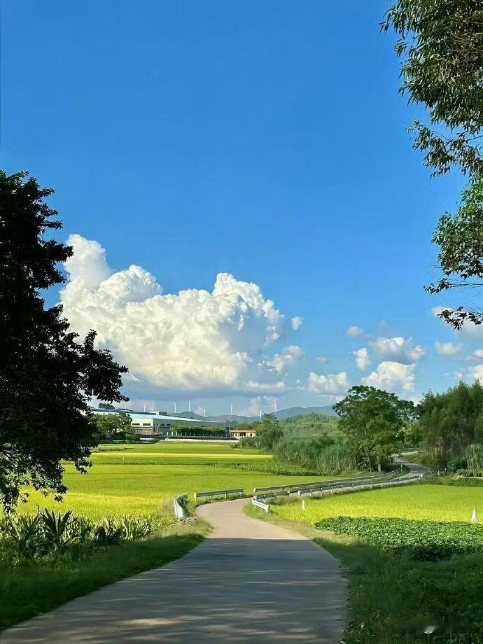 旅行能让时光变慢，生命延长，因为身处陌生环境时，日常的忙碌与时间飞逝感被打破旅行