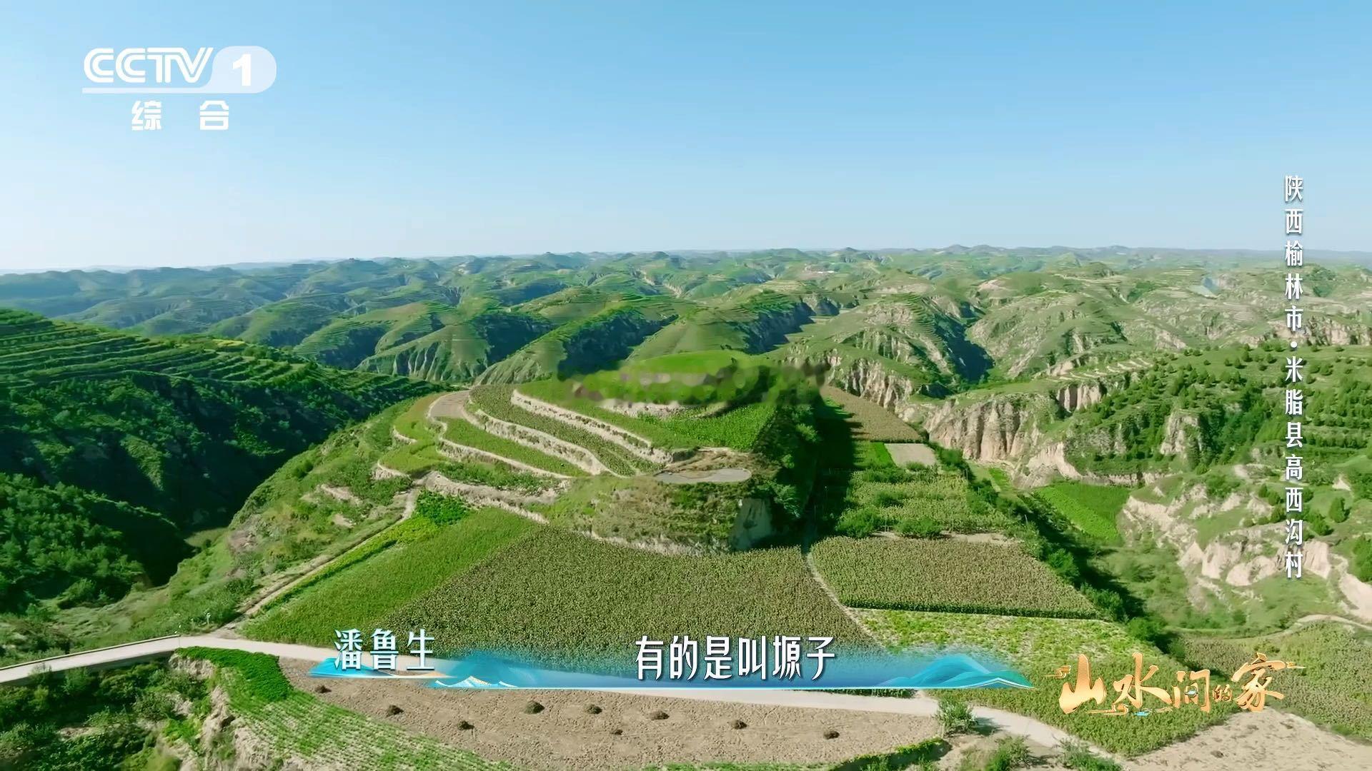 黄土高原变成了抹茶千层黄土高原变绿了记忆里的黄土坡彻底“逆袭”！翠绿梯田层层递