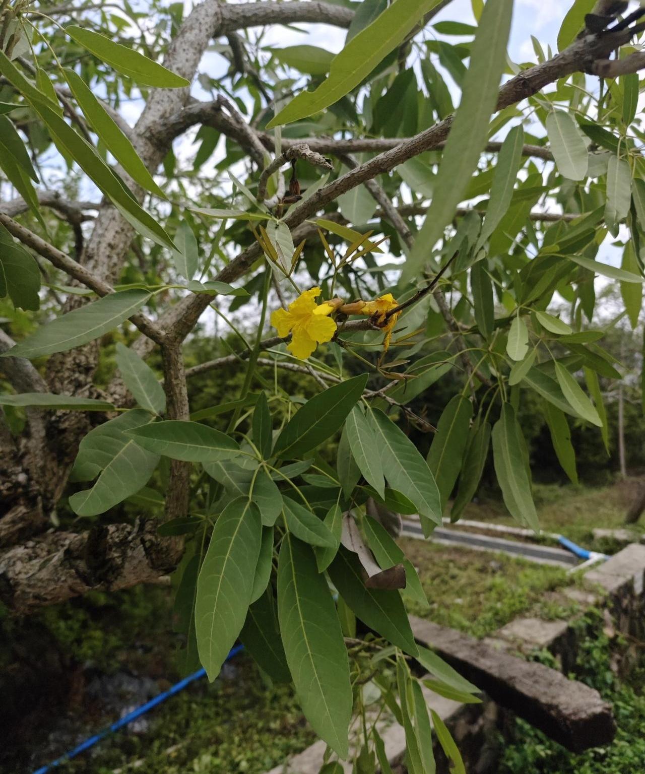 36岁，拖个地的功夫人就没了，你敢信？朋友媳妇那天在家大扫除，地刚拖完还湿漉漉