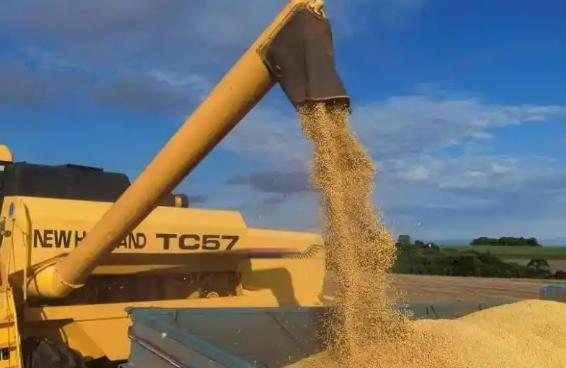 万一阿根廷,美国,巴西三国大豆全部涨价,中国怎么办?如果阿根廷、美国、巴西三