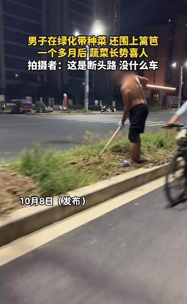 “人怎么能这么聪明！”10月8日，一男子看到自家楼下的道路两边绿化带，一直都没有