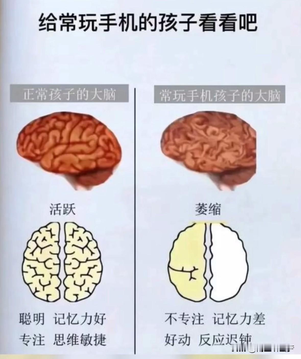 给经常玩手机的孩子看看吧[赞]