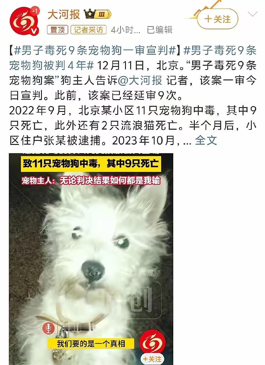 男子投毒毒死9条犬，被判4年有期。文明养狗，出门栓绳，戴嘴罩，拉屎主人清理，就没