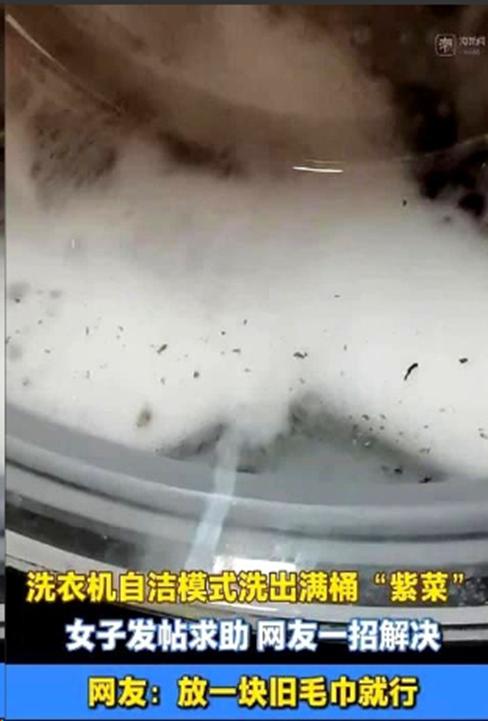 浙江金华，刘女士为了清洁家里用了两年的滚筒洗衣机，特意按下了面板上标注的“桶自