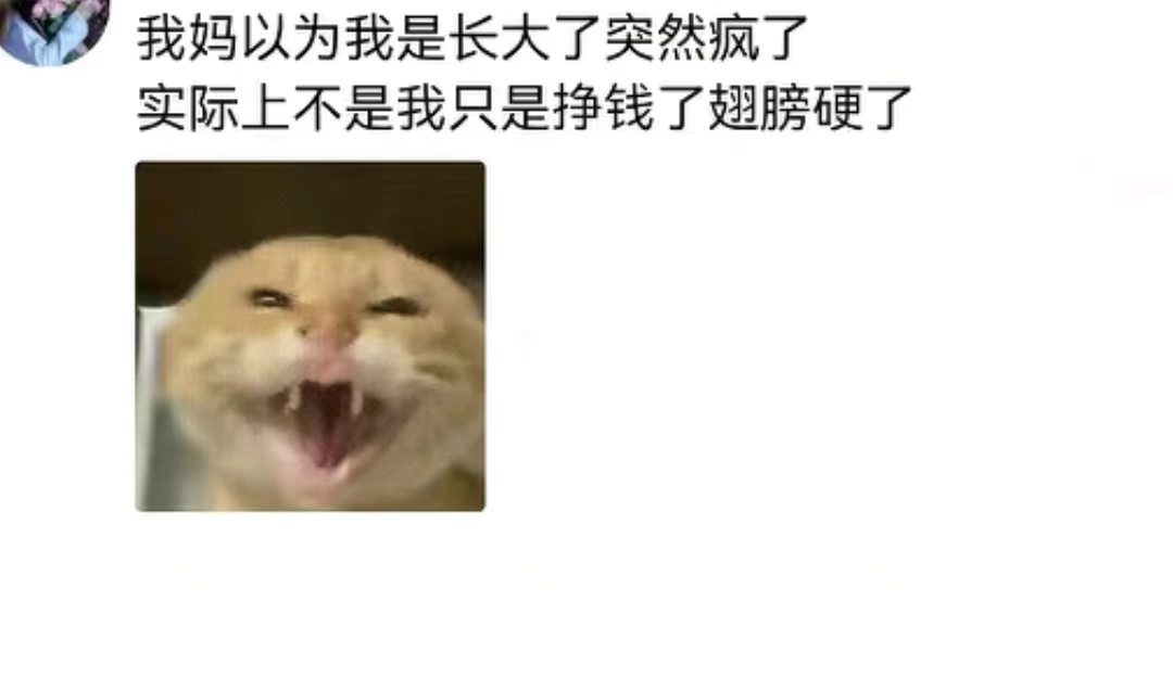 小时候攒的信誉值，长大了随便刷，什么乖乖女？明明是卧薪尝胆的女人！
