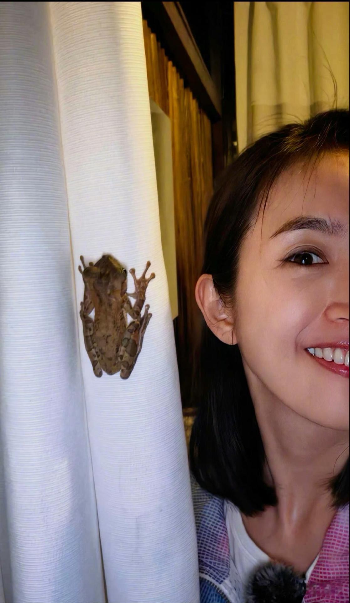 1.林依晨之前就是亲手给公婆端洗脚水，还得早起服侍人，只是现在为了挽回自己的脸面，才说婆家的好话。2