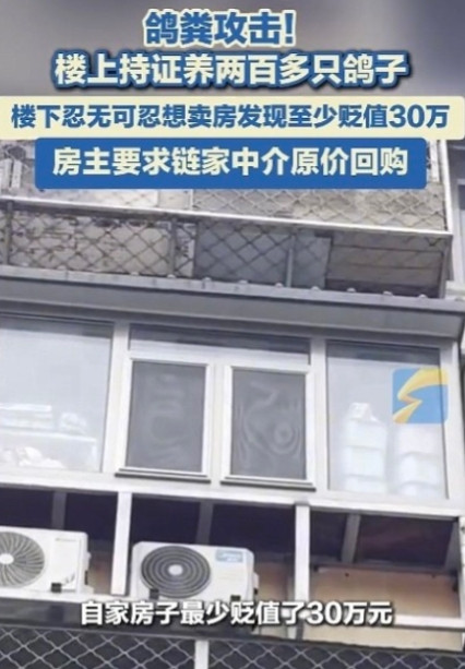 北京，男子7年前花235万买下的房子，却被楼上养的200多只鸽子搞得无法正常生活