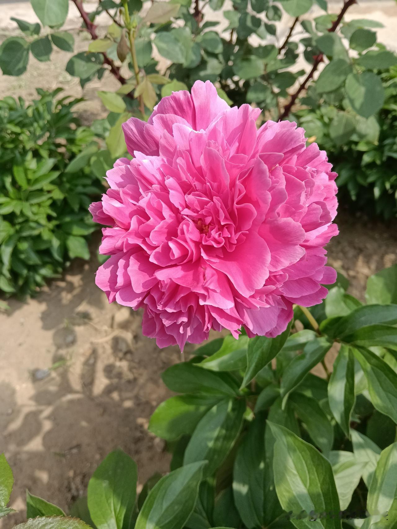 孩子一定记住，出门"九不帮"1.不帮人说假话做假证，2.不帮陌生人拿