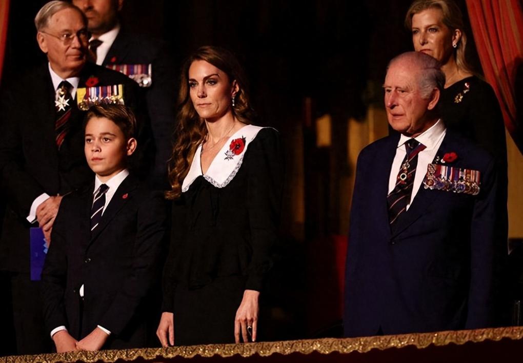 这一夜，12岁乔治王子太帅了吧！11月8日乔治首次以王储身份参加阵亡将士纪念日音