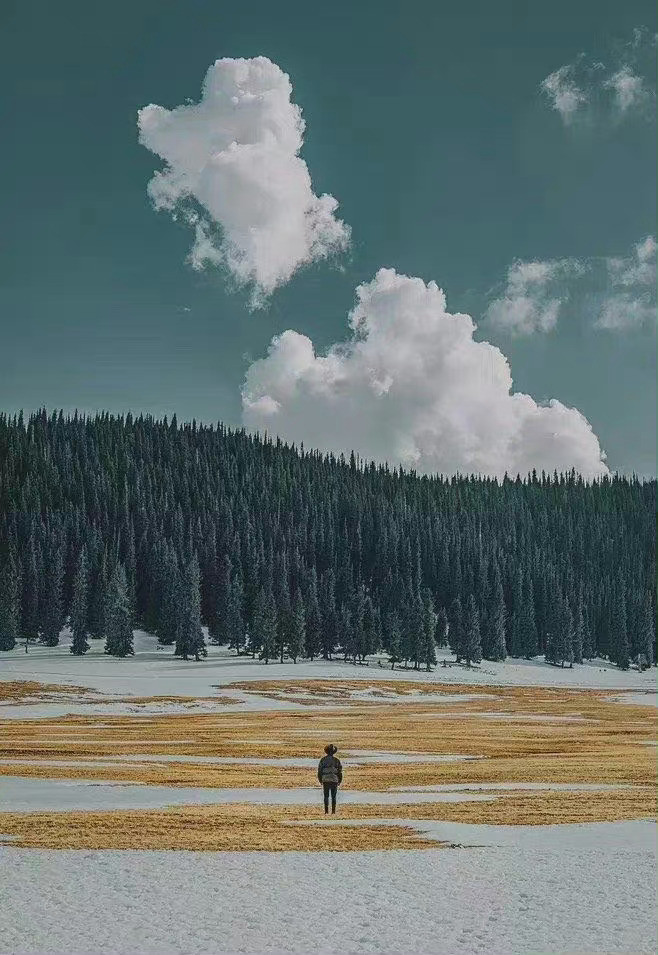 真正拉开人与人之间距离的，不是努力，不是能力，而是心力。心力，源于精神，它是一个
