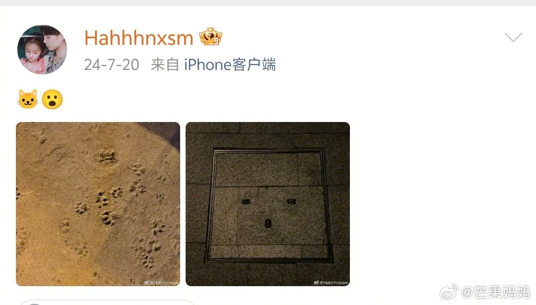 鞠婧祎小号猫猫含量好高，还专门拍猫尾巴和猫猫爪印，此女怎么如此之萌哦