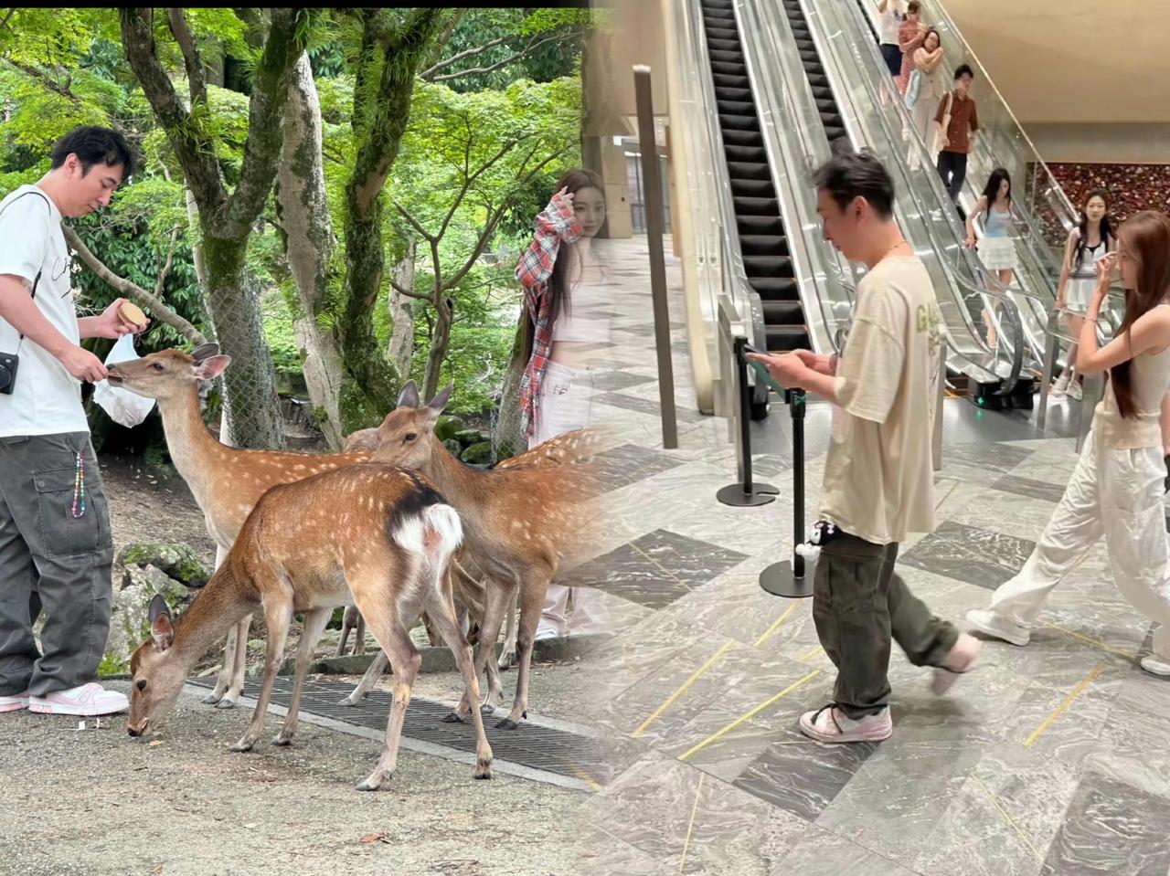 王思聪追女套路被扒，这瓜吃得人一愣一愣的！据和他处过的女生透露，他先是一口气刷十