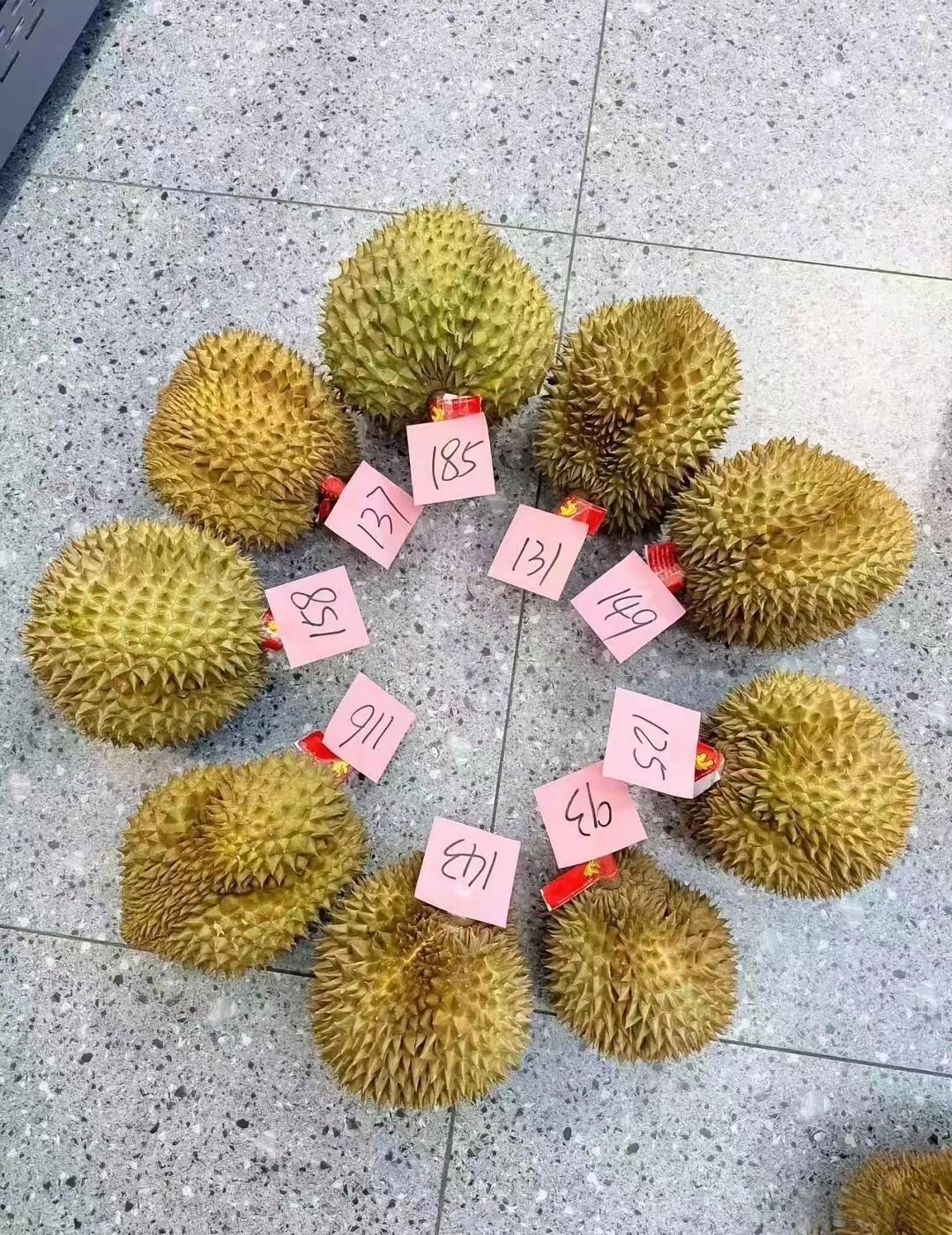 哪个榴莲最好
