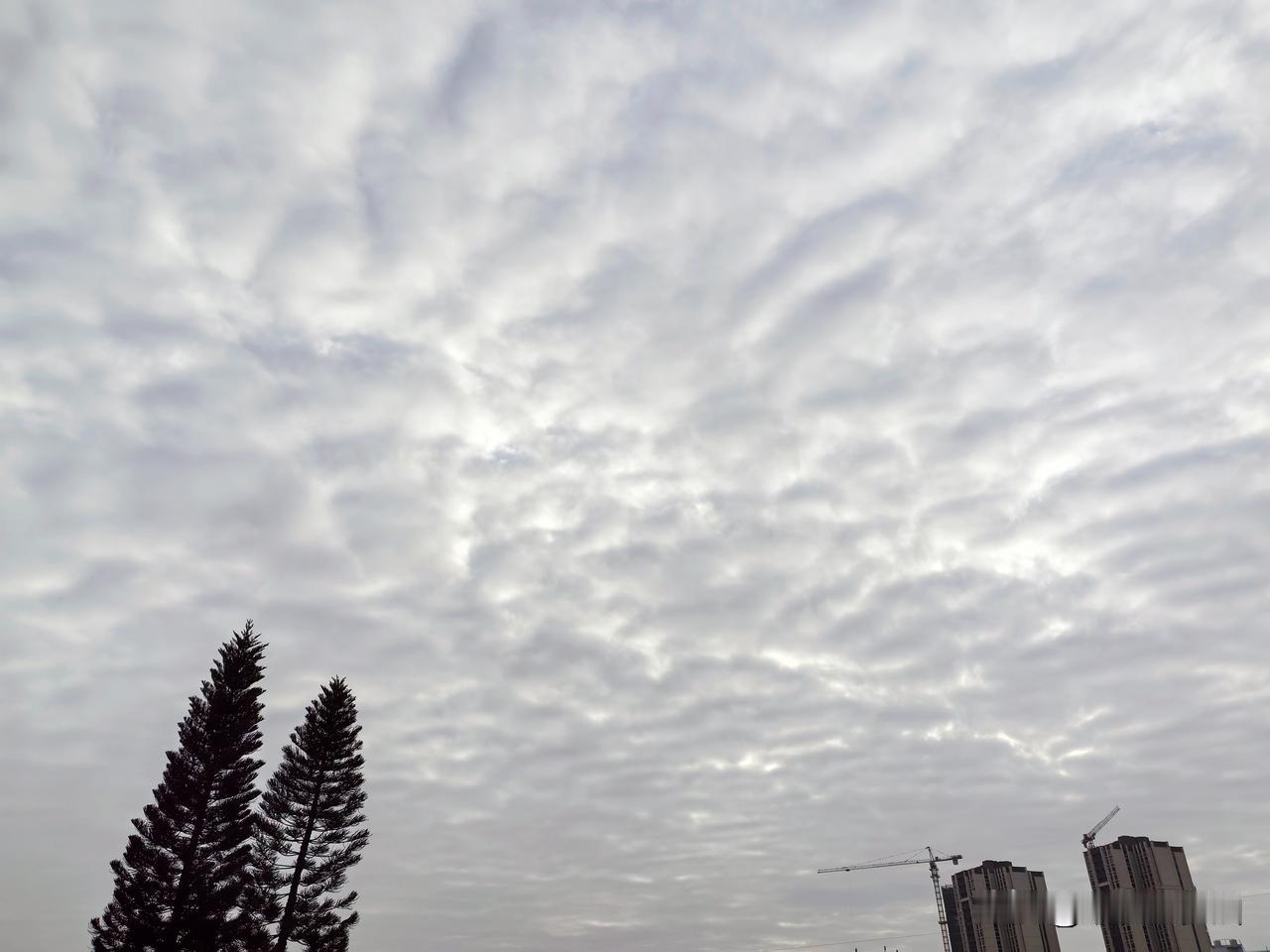 23到24日广东阳光增多，白天气温回升！今明两天（23～24日），广东上空逐