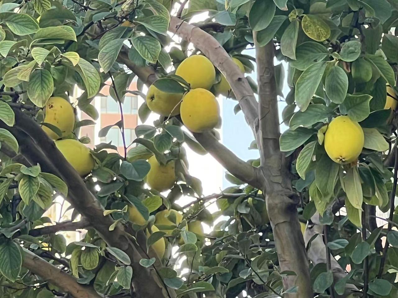 期中考试后，家长如何看待孩子的成绩：期中考试成绩出来了，作为家长，几家欢喜几家