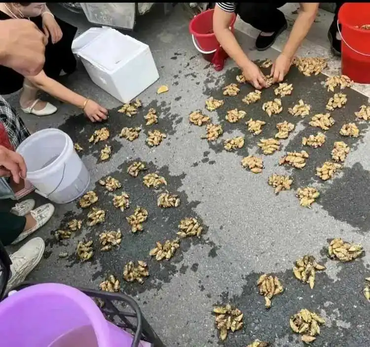 就北方人爱吃，快吃绝了