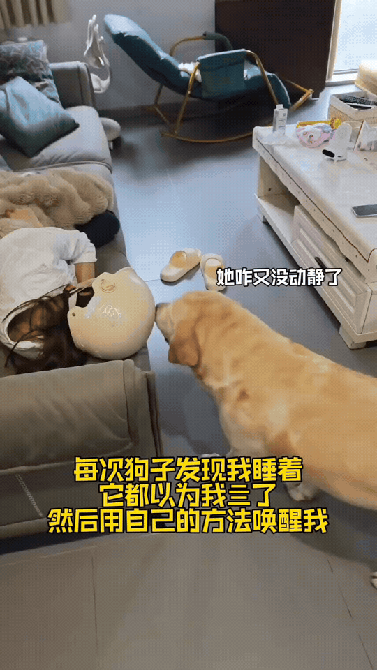 医生：“怎么受伤的？”我：“被狗打的”医生：“说话不要带情绪”