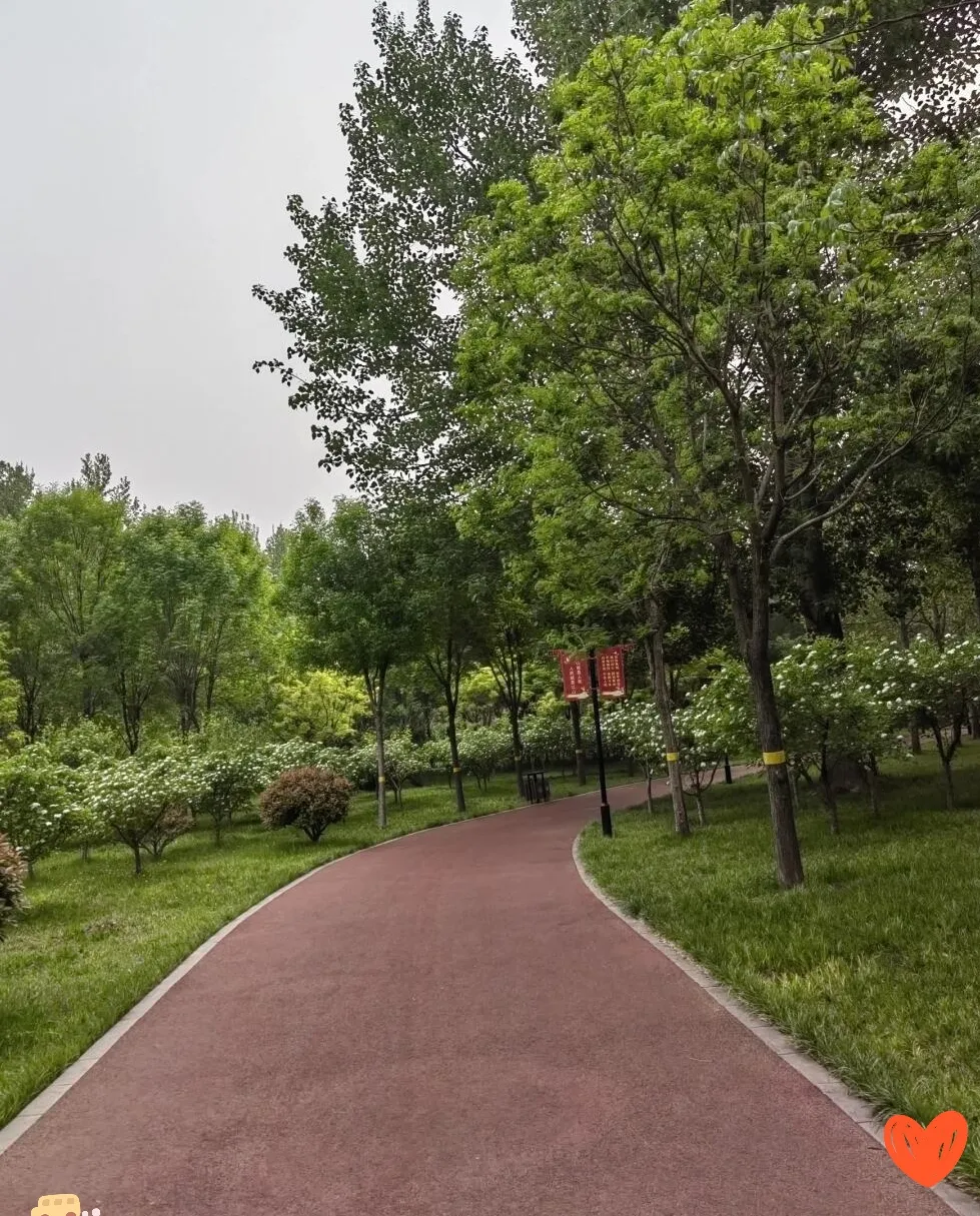 真没想到，退休后最折磨人的不是累，而是闲！每天睁眼就是老三样：公园遛弯、菜市场买