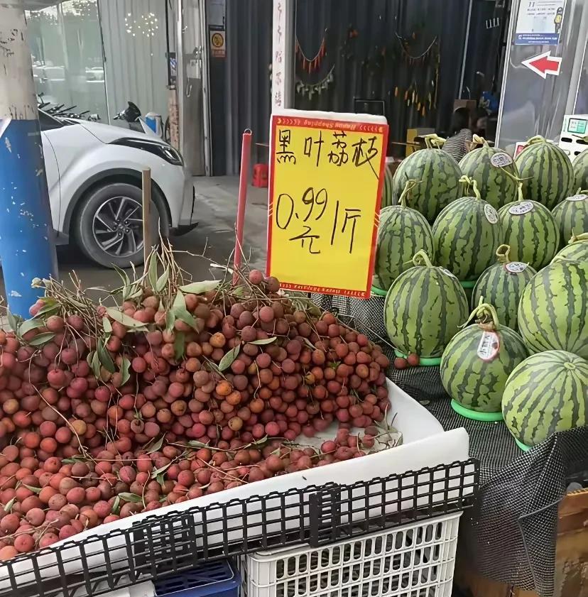 宁愿买三块一斤的西瓜，也不吃几毛一斤的荔枝，因为荔枝太油腻了，实在咽不下。