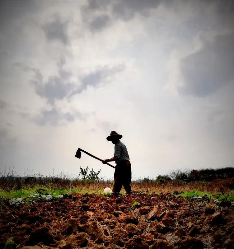 “荷锄耕耘种日月，茶抄判品度春秋”，好有意境的对子。就像“荷锄耕云种日月”，它道