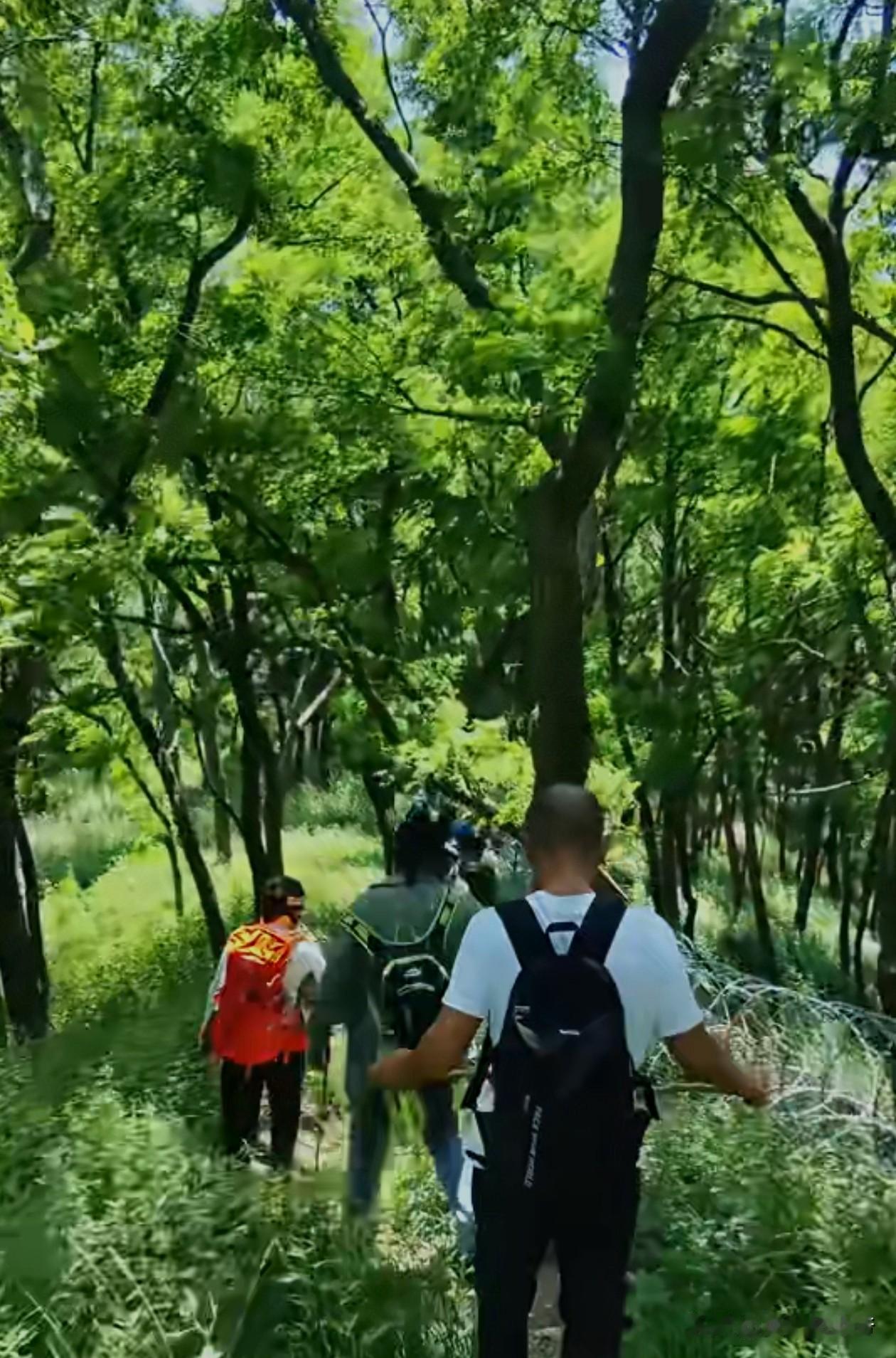 其实泰安不光把用铁丝网泰山围了，几乎是把所有济南与泰安交界的山脉全部围起来了。