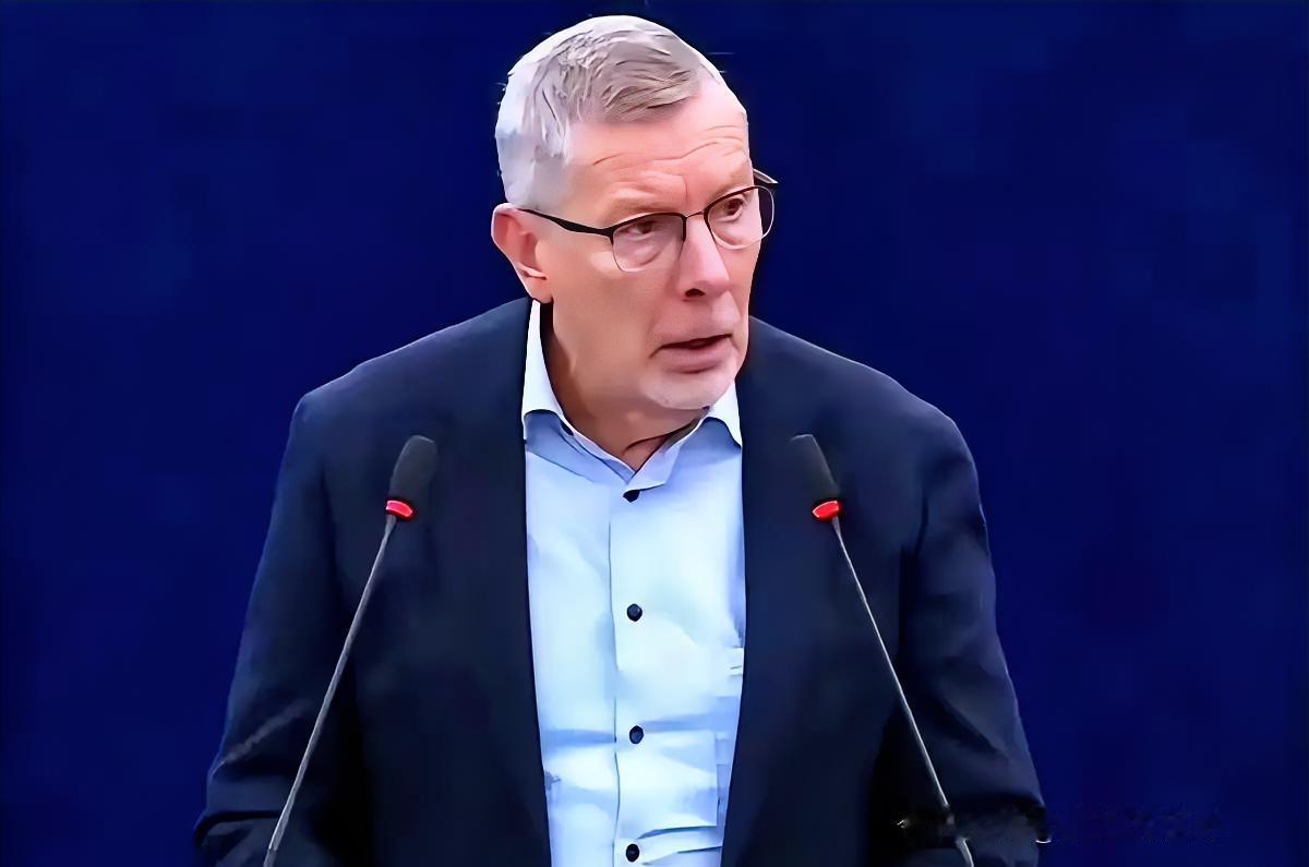 欧洲议会比利时议员鲁迪·肯纳斯化身“真话刺客”，一句话让吵吵嚷嚷的会场瞬间安静三