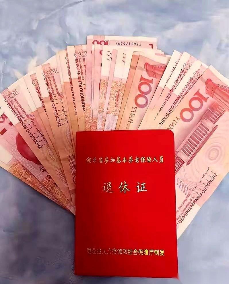 别急着掏出手机算2026年的养老金能涨几百块了。截至10月9日，你去人社部官网