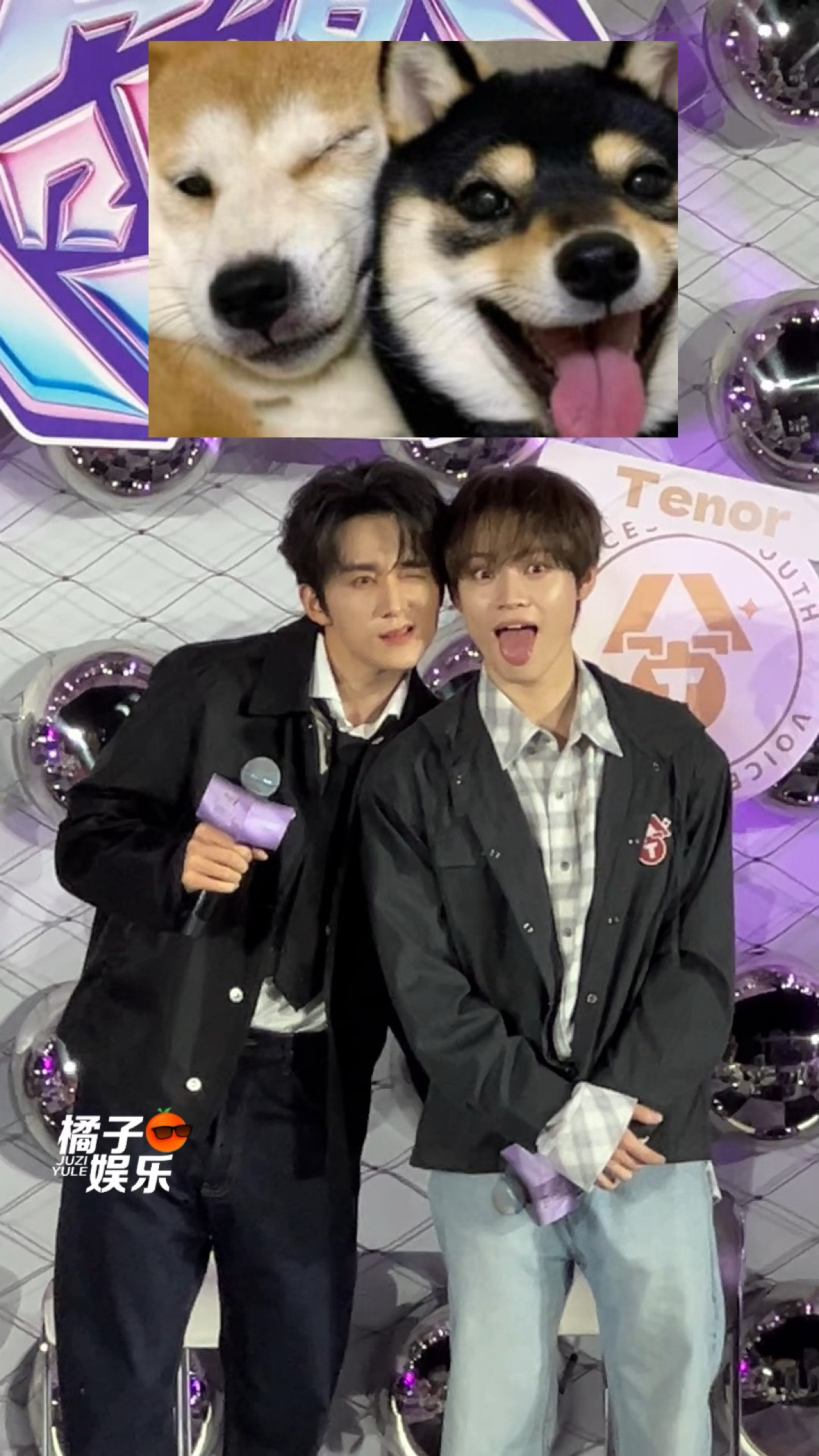 这里有两只大狗狗🥰🥰🥰🥰🥰张新成钟辰乐模仿狗狗贴贴表情包超燃青春的合