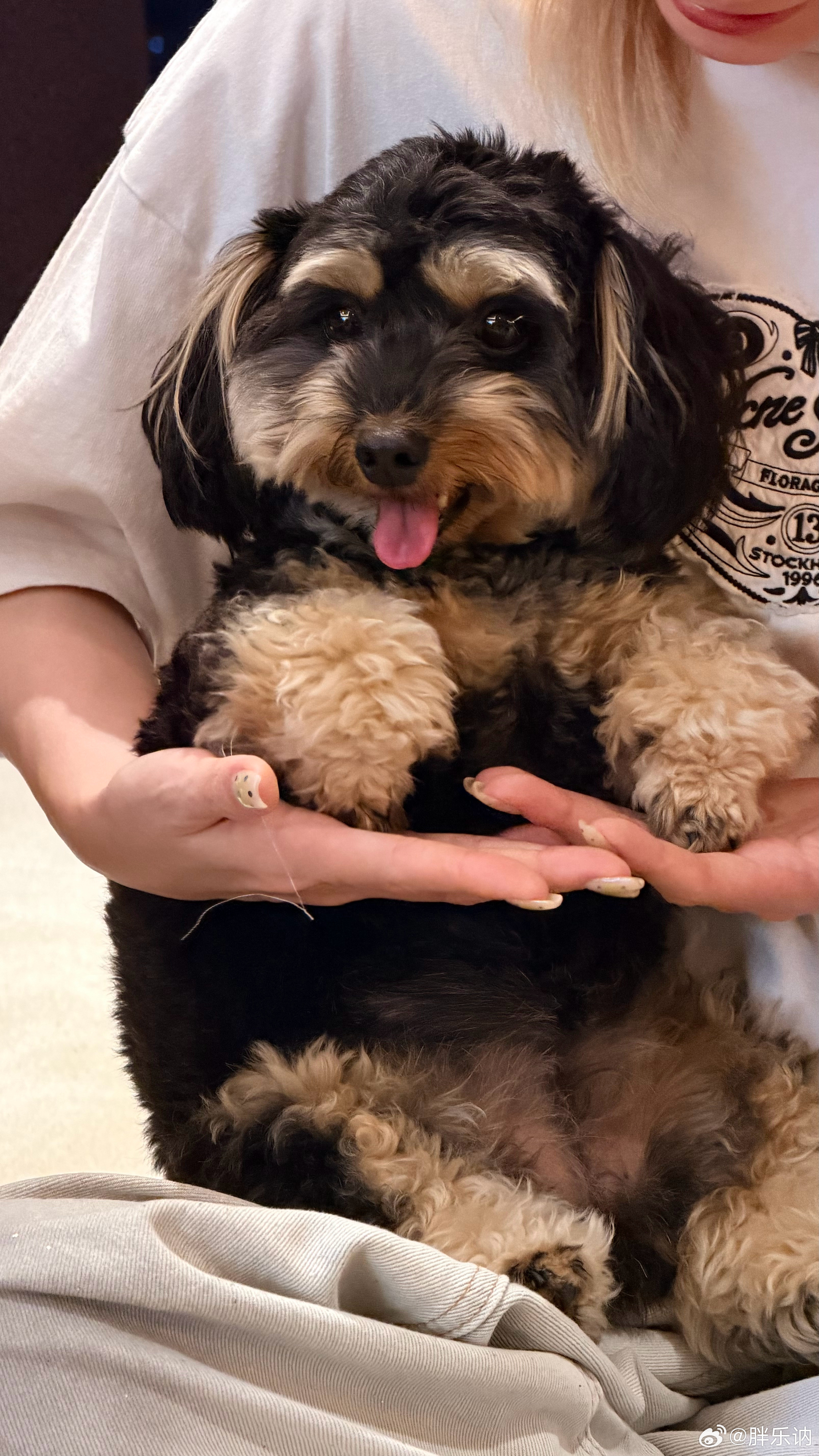 已婚有娃微寡寡99％没全寡