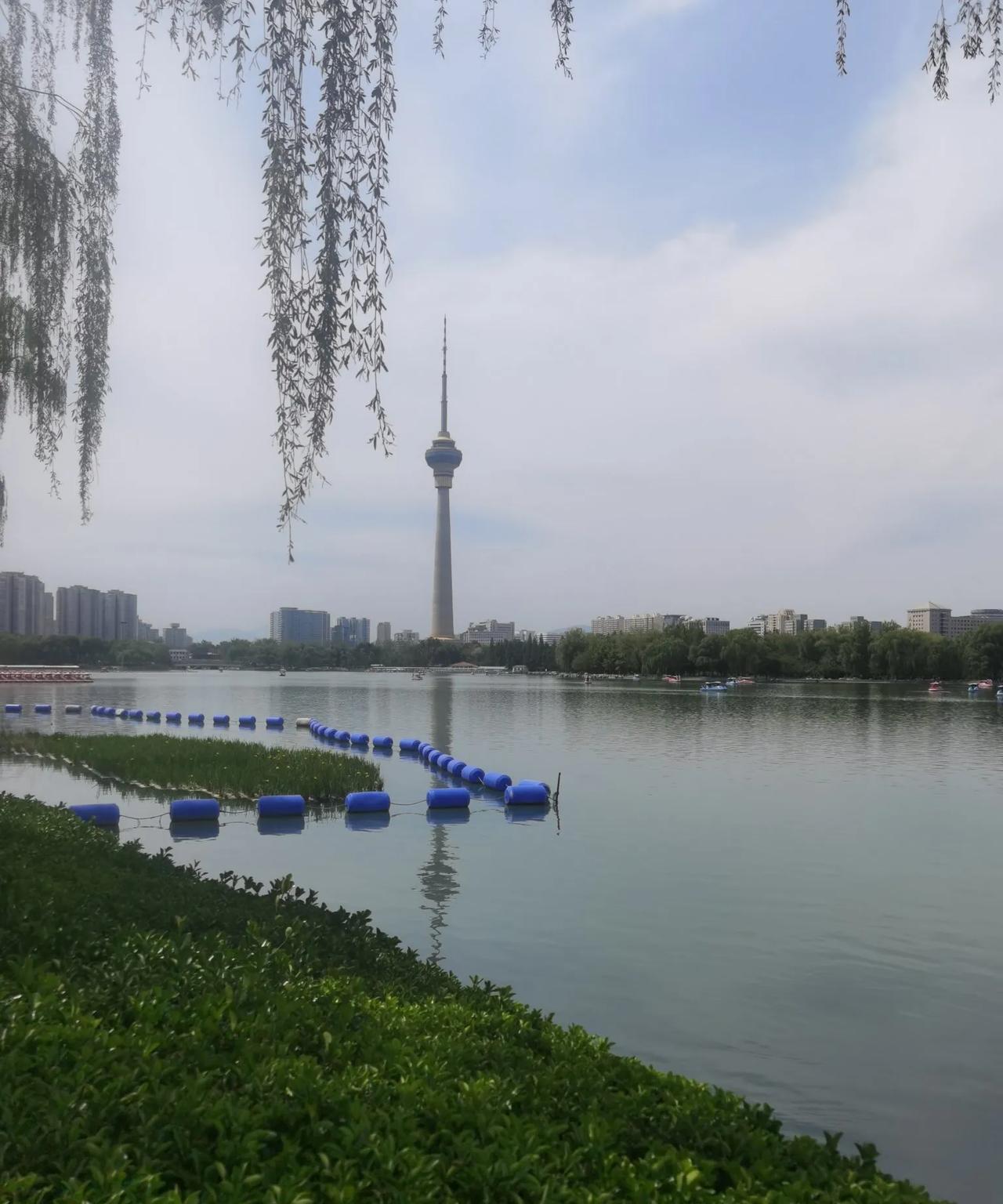 一切都是因果。一切都是缘分。没有什么无缘无故伤害。如果站在高维空间俯瞰世界没有什