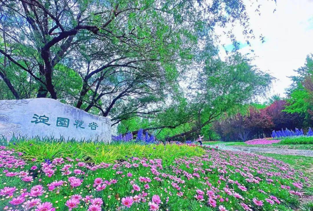 夏天一定要去趟海淀公园炎炎夏日，带给人身心疲惫之感，北京海淀公园绿意盎然的自然