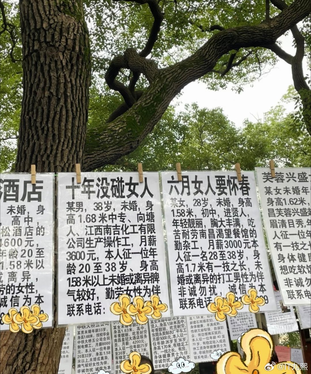 国庆去公园相亲角逛一圈，也是个不错的选择，网上段子都未必能写出这种画面感[dog