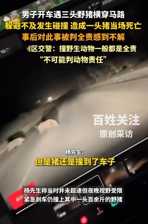 11月2日，安徽六安，男子晚上7点半开车带着5岁女儿去合肥，路上，突然窜出3头野