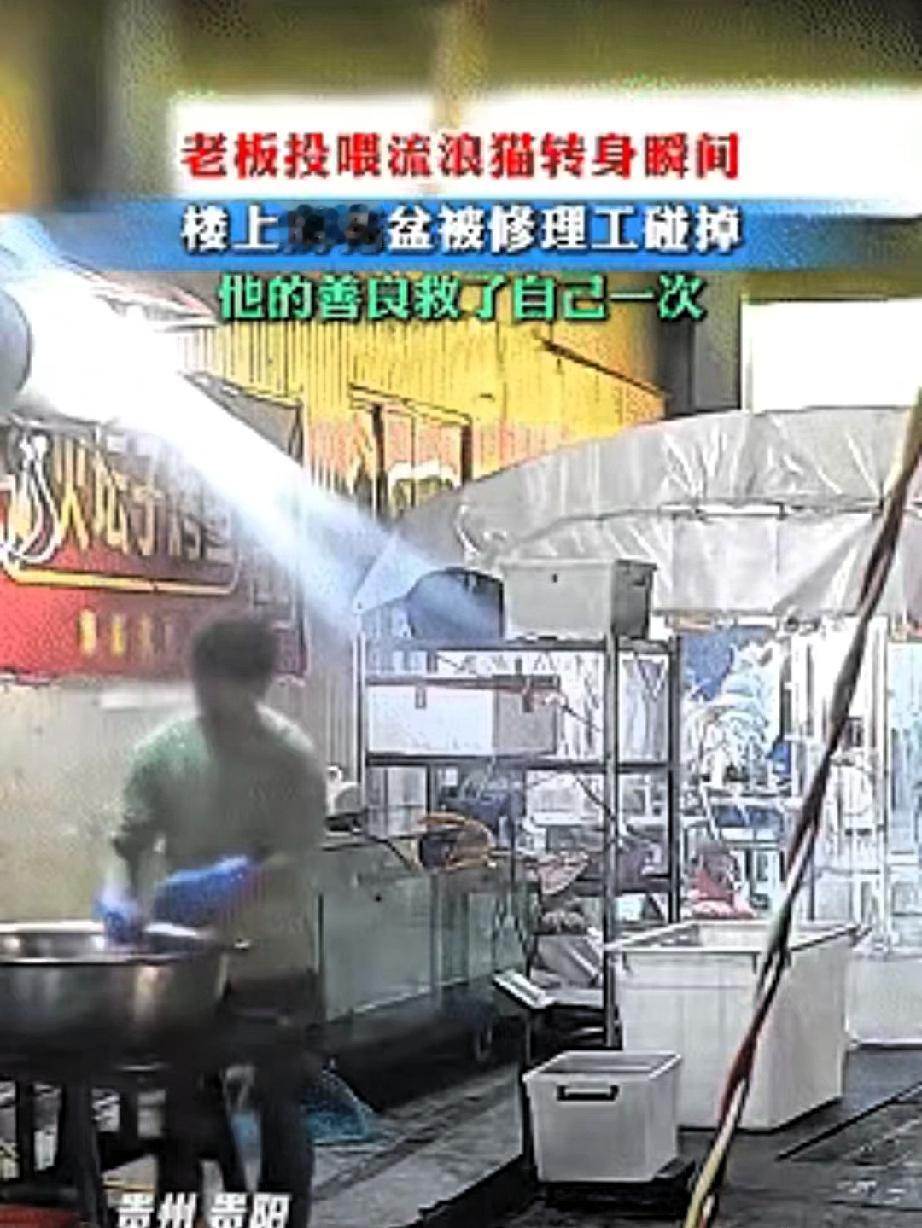 善良救了自己一命，近日贵州贵阳，男子正在摊位上烤鱼，看到一只流浪猫饿得肚子扁扁，