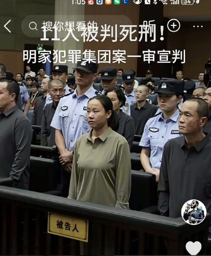 枪毙她真算便宜她了！一个二十来岁的丫头，心肠怎么能毒成这样！看完明珍珍的审讯采