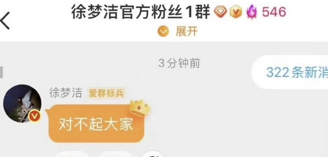 徐梦洁五公表现不佳，粉丝群发文道歉《乘风2026》五公结果出炉，徐梦洁个人喜爱