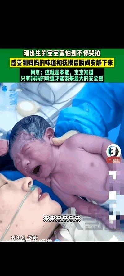 山东一家医院，一个干了五年的护士，抱着个刚出生的娃娃，快把嗓子都哭哑了。小脸憋