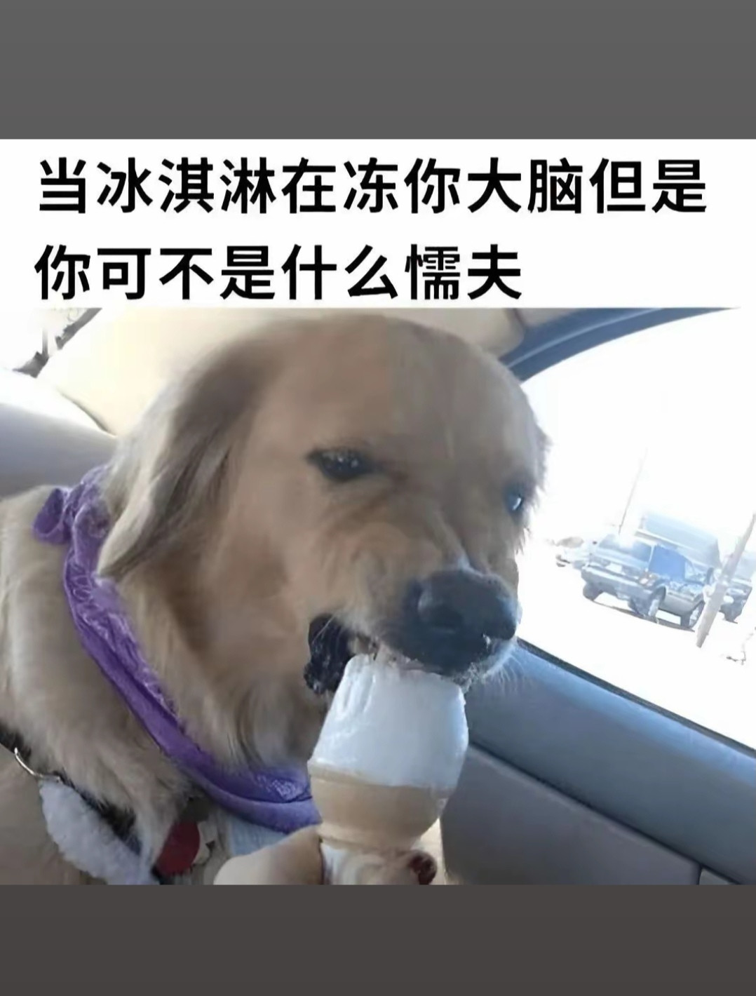 你可不是什么懦夫