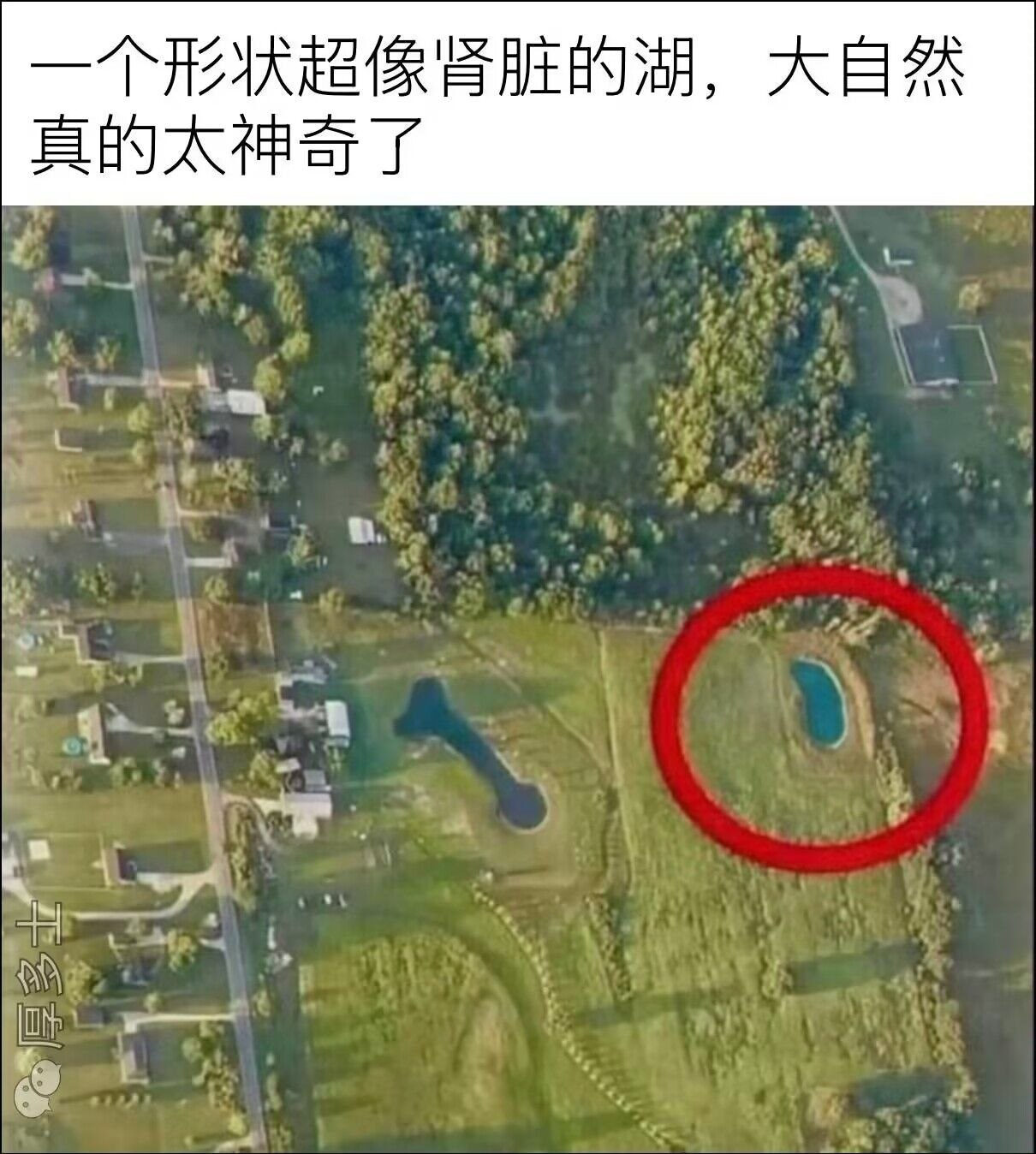 哇好神奇