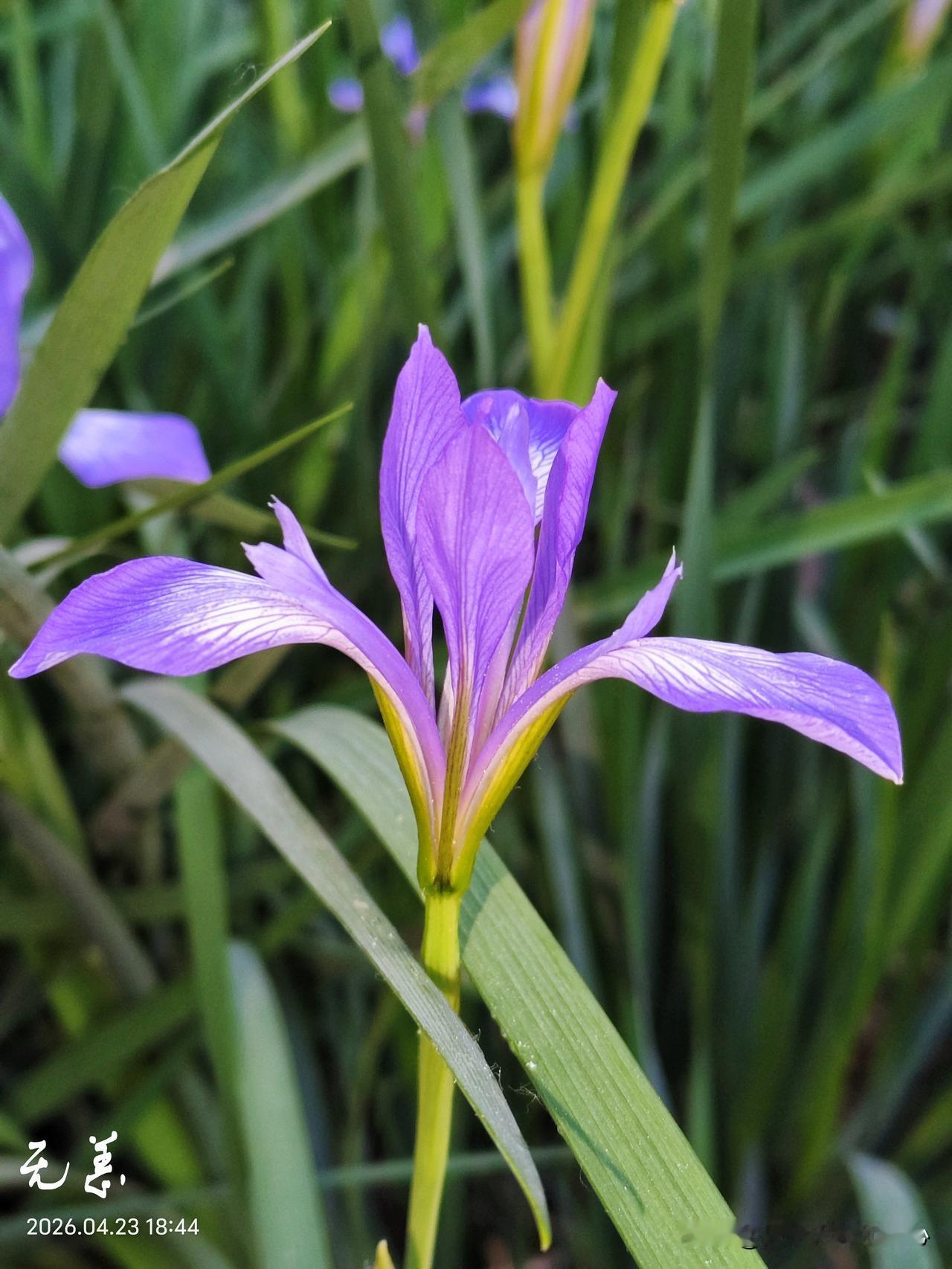 哈哈哈，小姑子的不回家理由真是越来越不可理解了。我倒是不盼着她回家，是婆婆总是