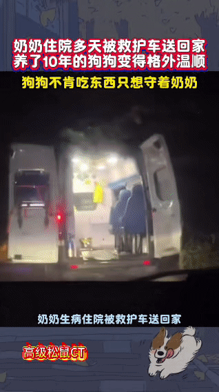 奶奶住院多日后被救护车送回家，养了10年的狗狗察觉到异样，瞬间变得格外温顺。它站
