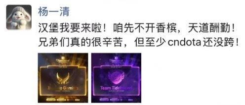 杨哥出发TI咯！dota2​​​